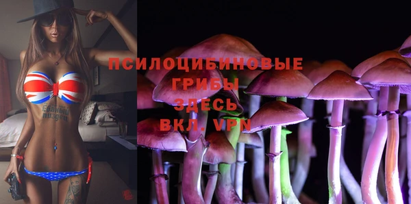 стаф Вязники