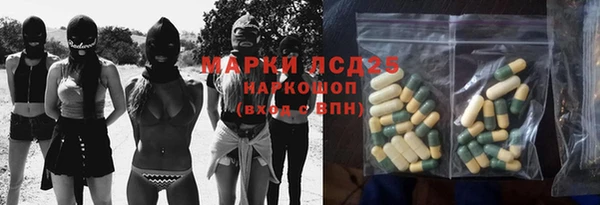 сатива Вяземский