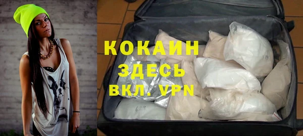 стаф Вязники