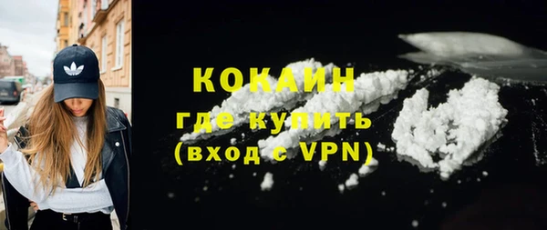 сатива Вяземский