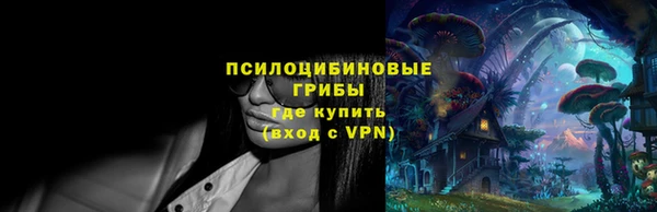 стаф Вязники