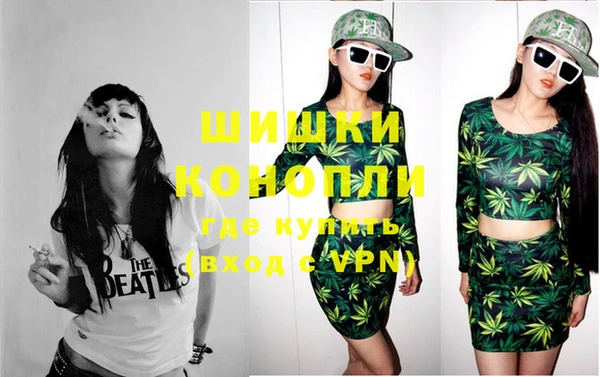 стаф Вязники