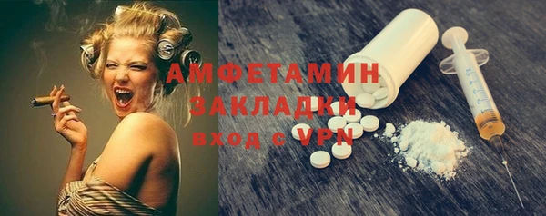 сатива Вяземский