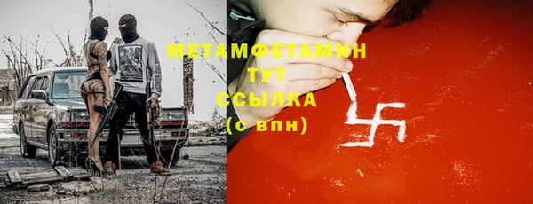 сатива Вяземский