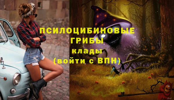 герыч Вязьма