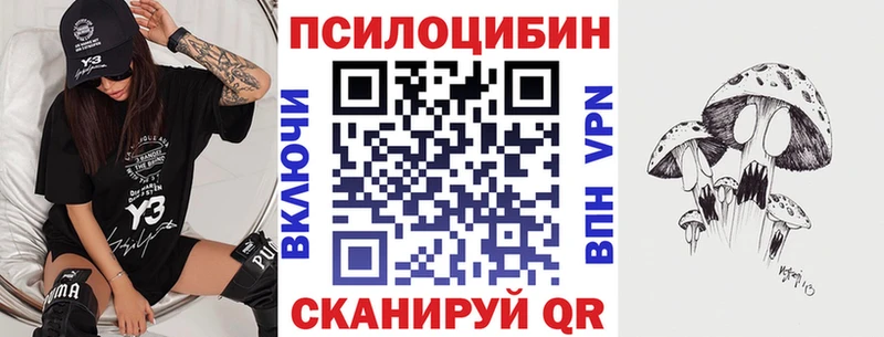 дарк нет наркотические препараты  Астрахань  Галлюциногенные грибы MAGIC MUSHROOMS 
