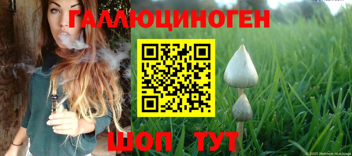 Астрахань  Псилоцибиновые грибы прущие грибы  Вход с VPN 